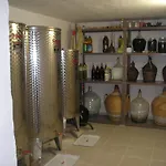 Vanja *