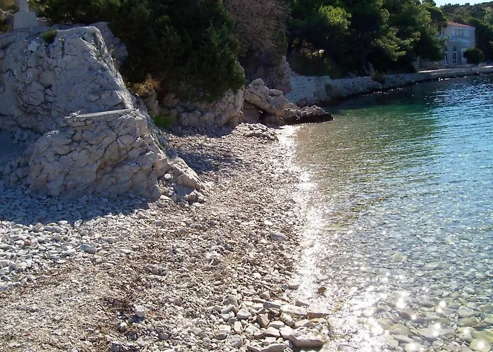 Vanja